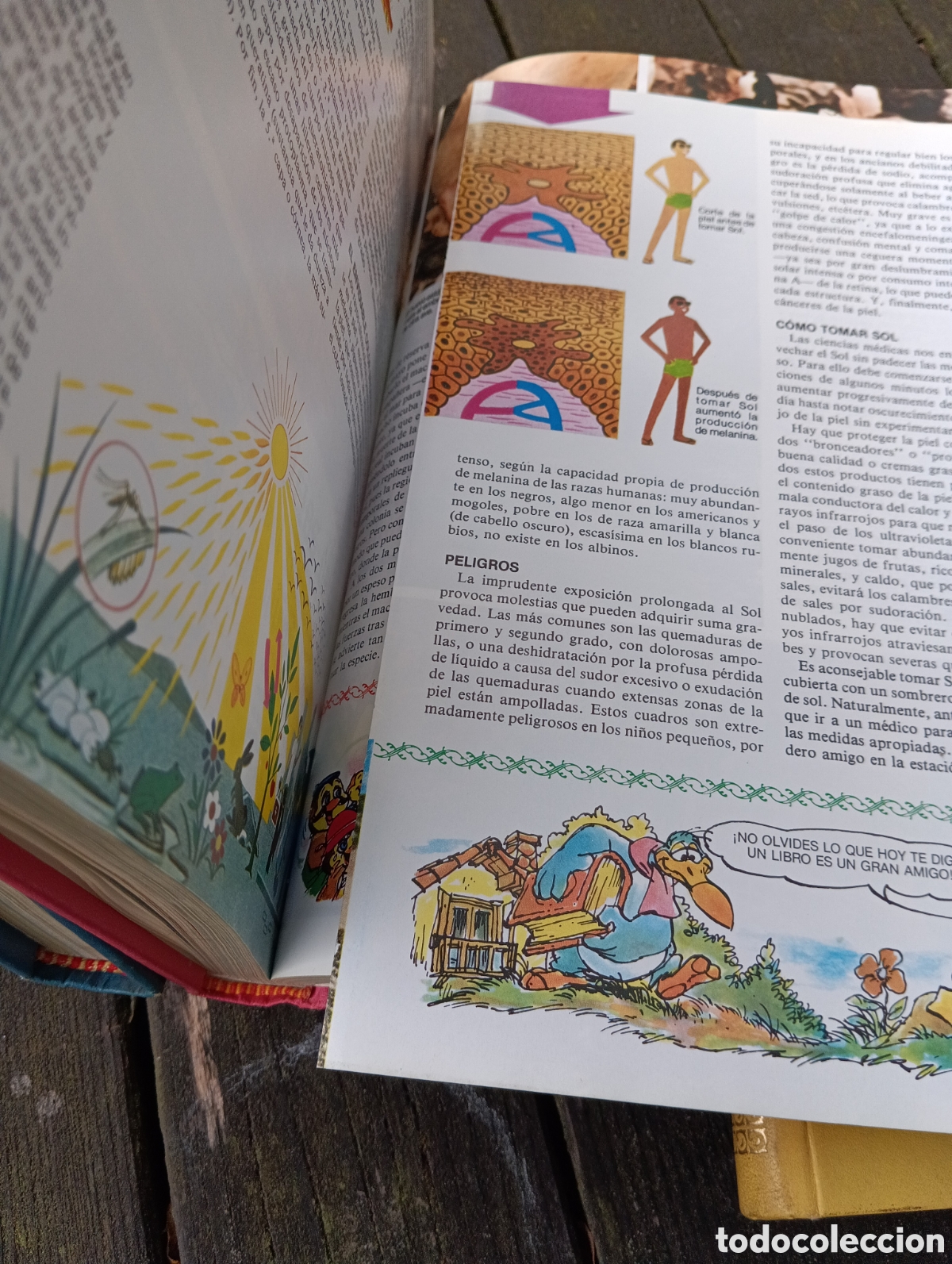 Libros: 4 TOMOS LIBRO GORDO DE PETETE. - Foto 19