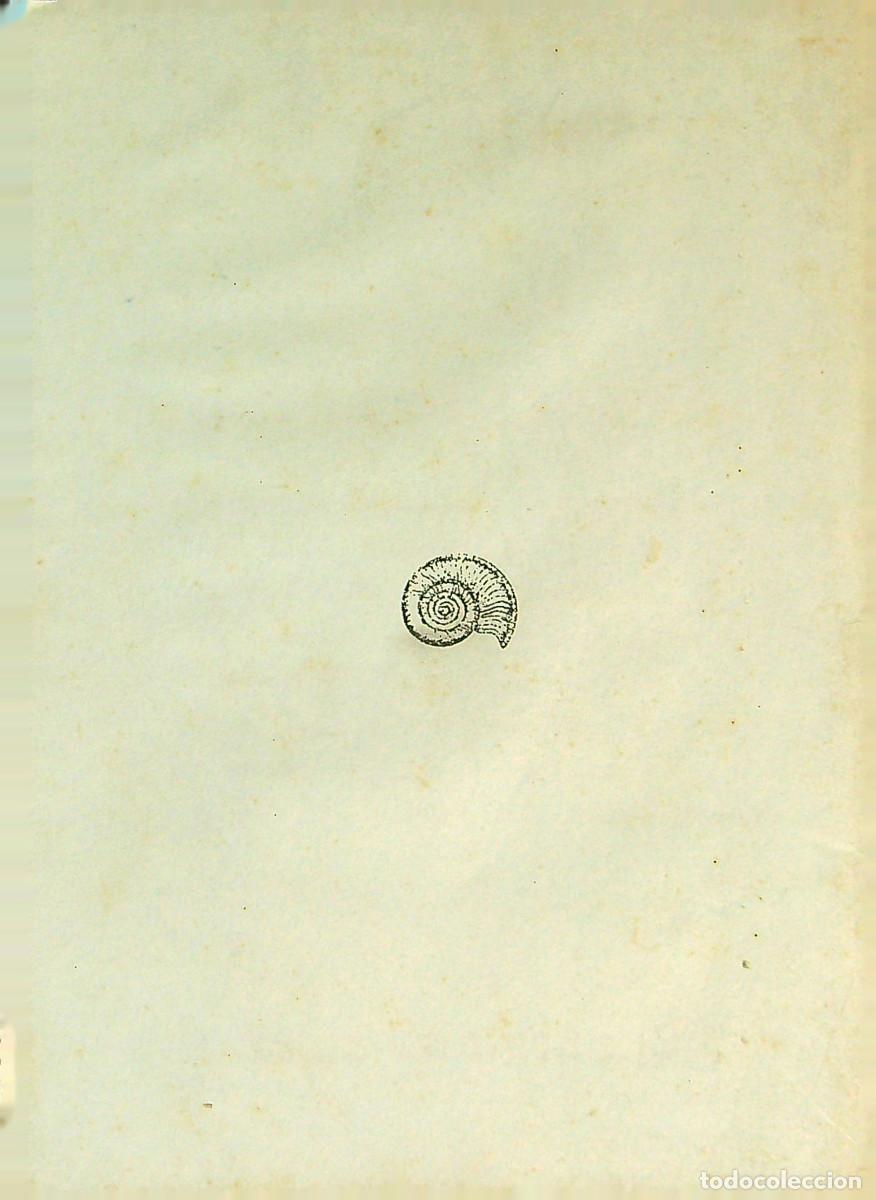 Libros: DIOSNOSLIBRE - VICTOR RAM&Iacute;REZ - 1982 - CANARIAS - Foto 2