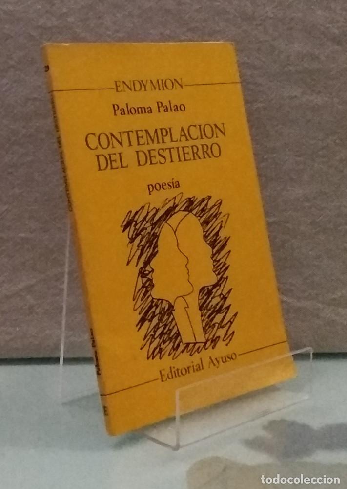 Libros: Contemplaci&oacute;n del destierro - Paloma Palao - Foto 1
