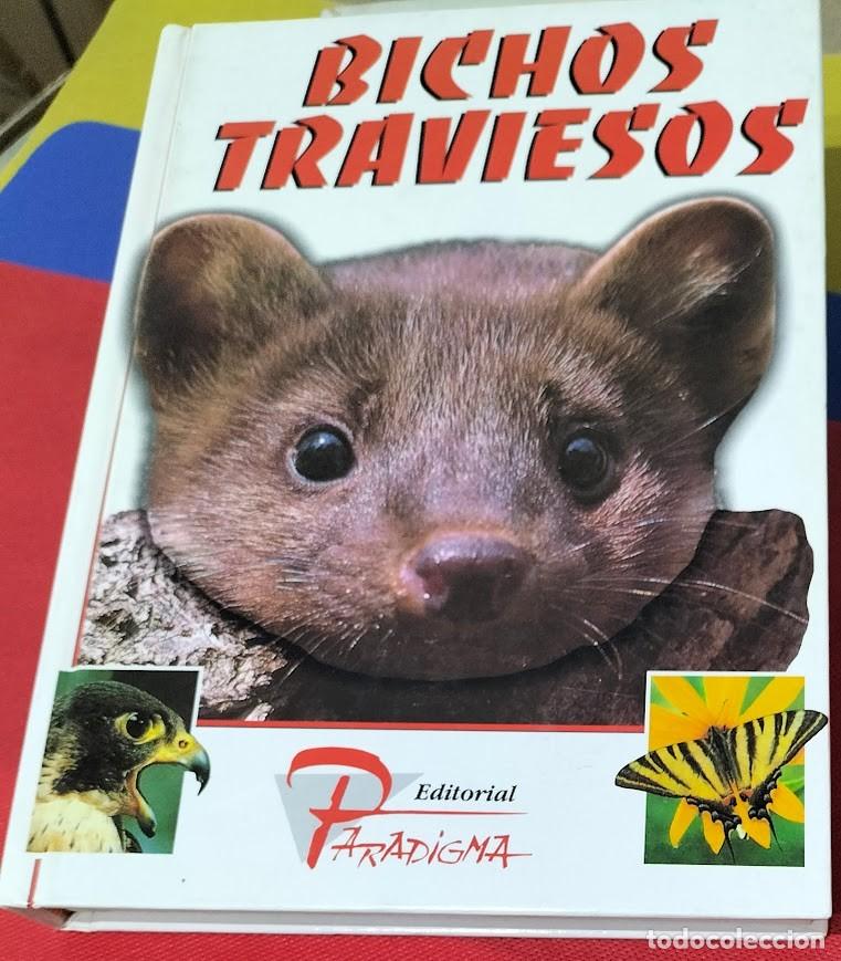 Libros: BICHOS TRAVIESOS EDITORIAL PARADIGMA Madrid 1996 - Foto 1