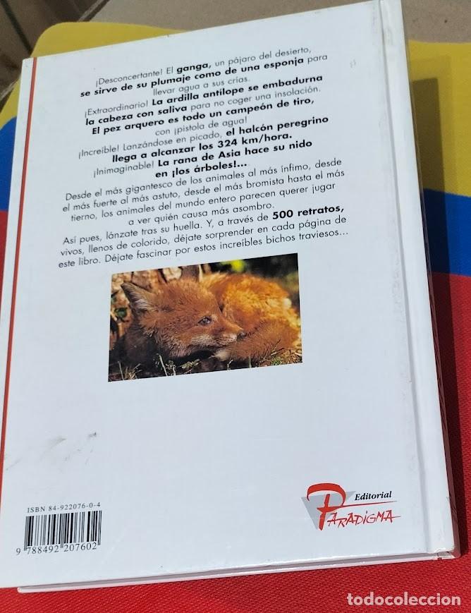 Libros: BICHOS TRAVIESOS EDITORIAL PARADIGMA Madrid 1996 - Foto 2