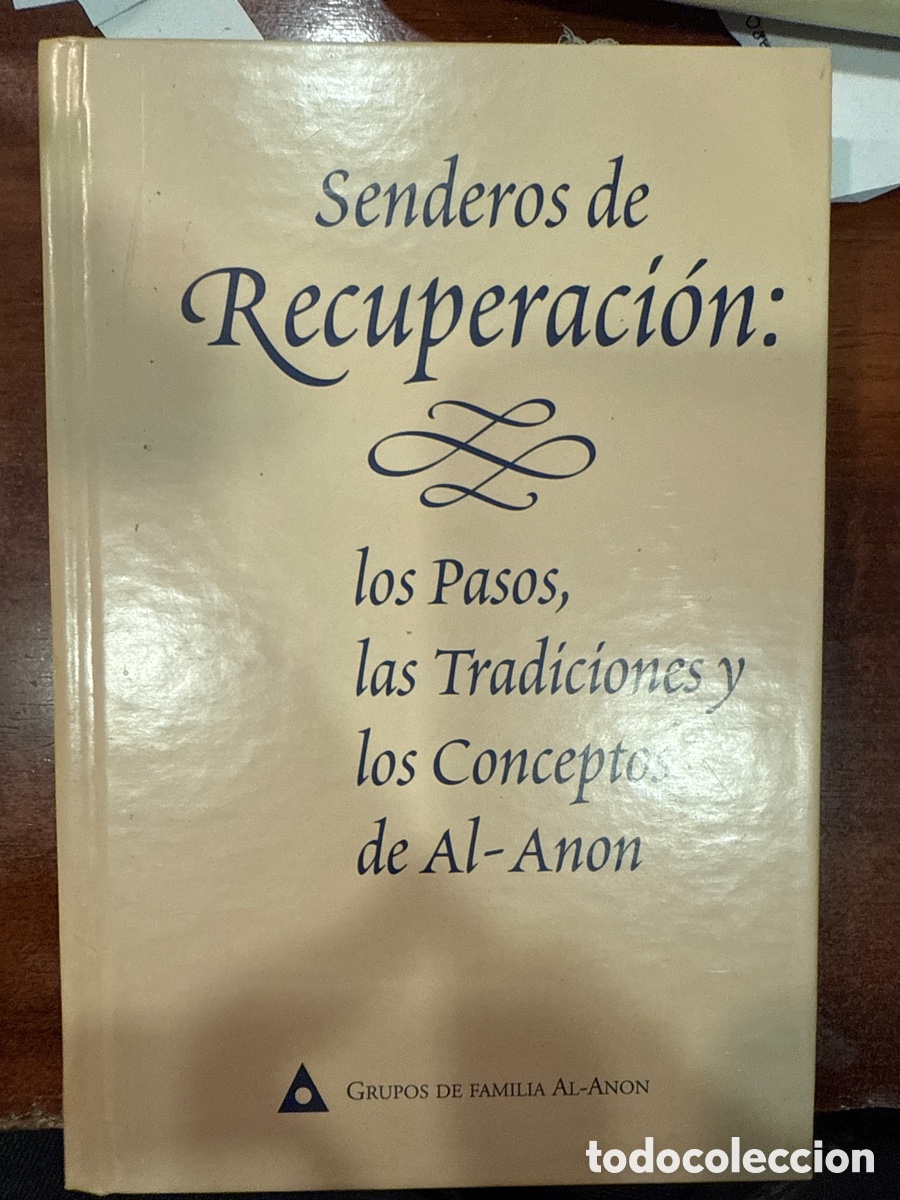 Libros: GRUPOS DE FAMILIAS AL-ANON: Para familiares y amigos de alcoh&oacute;licos
