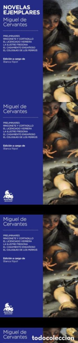 Libros: 16967 - Novelas ejemplares - Foto 1