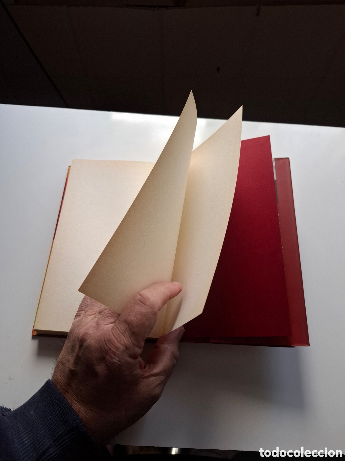 Libros: L29. Ama Y No Sufras - Walter Riso, C&iacute;rculo De Lectores 2005. - Foto 8