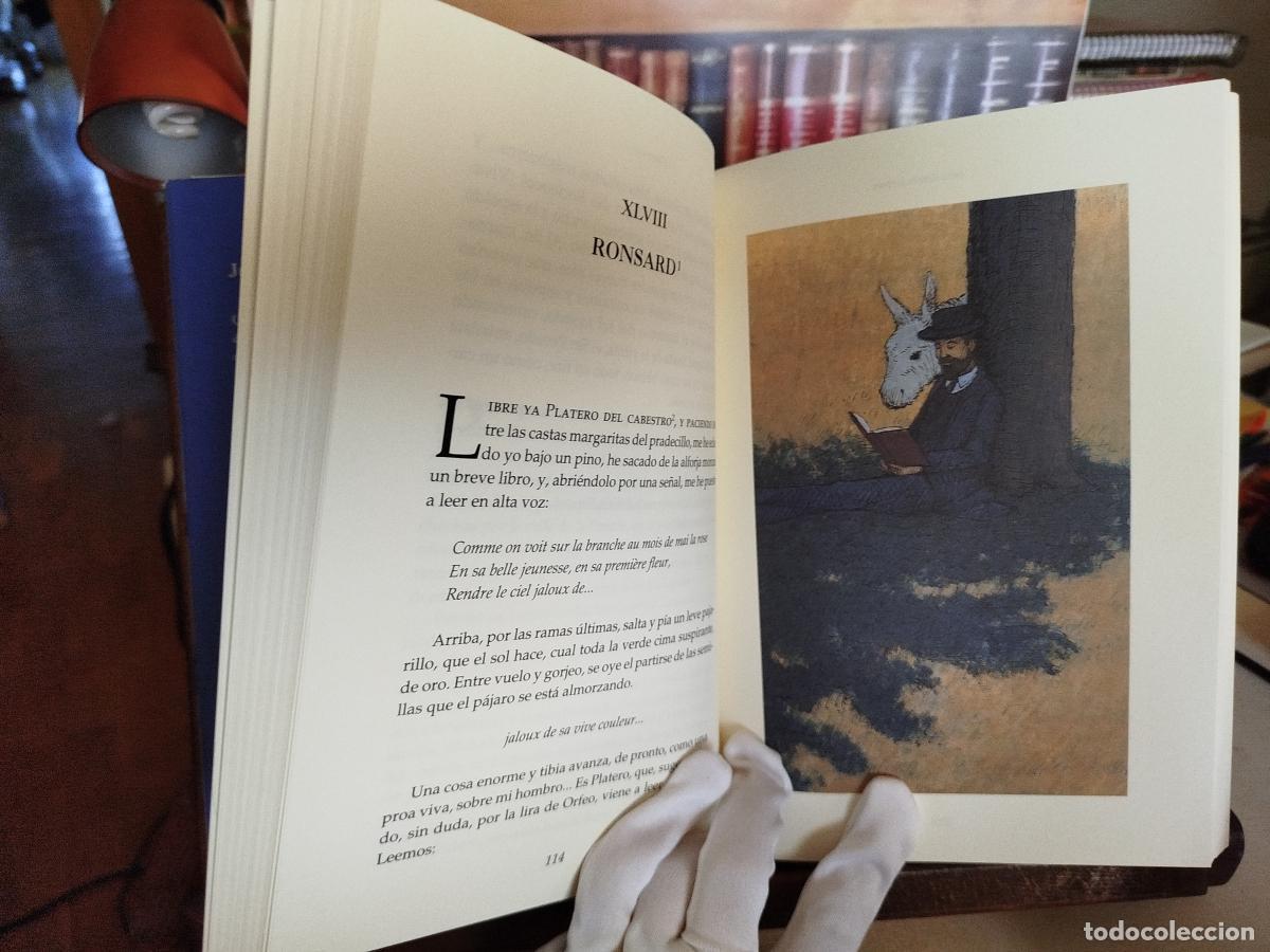 Libros: Platero y yo - Jim&eacute;nez, Juan Ram&oacute;n (1881-1958) - Foto 8