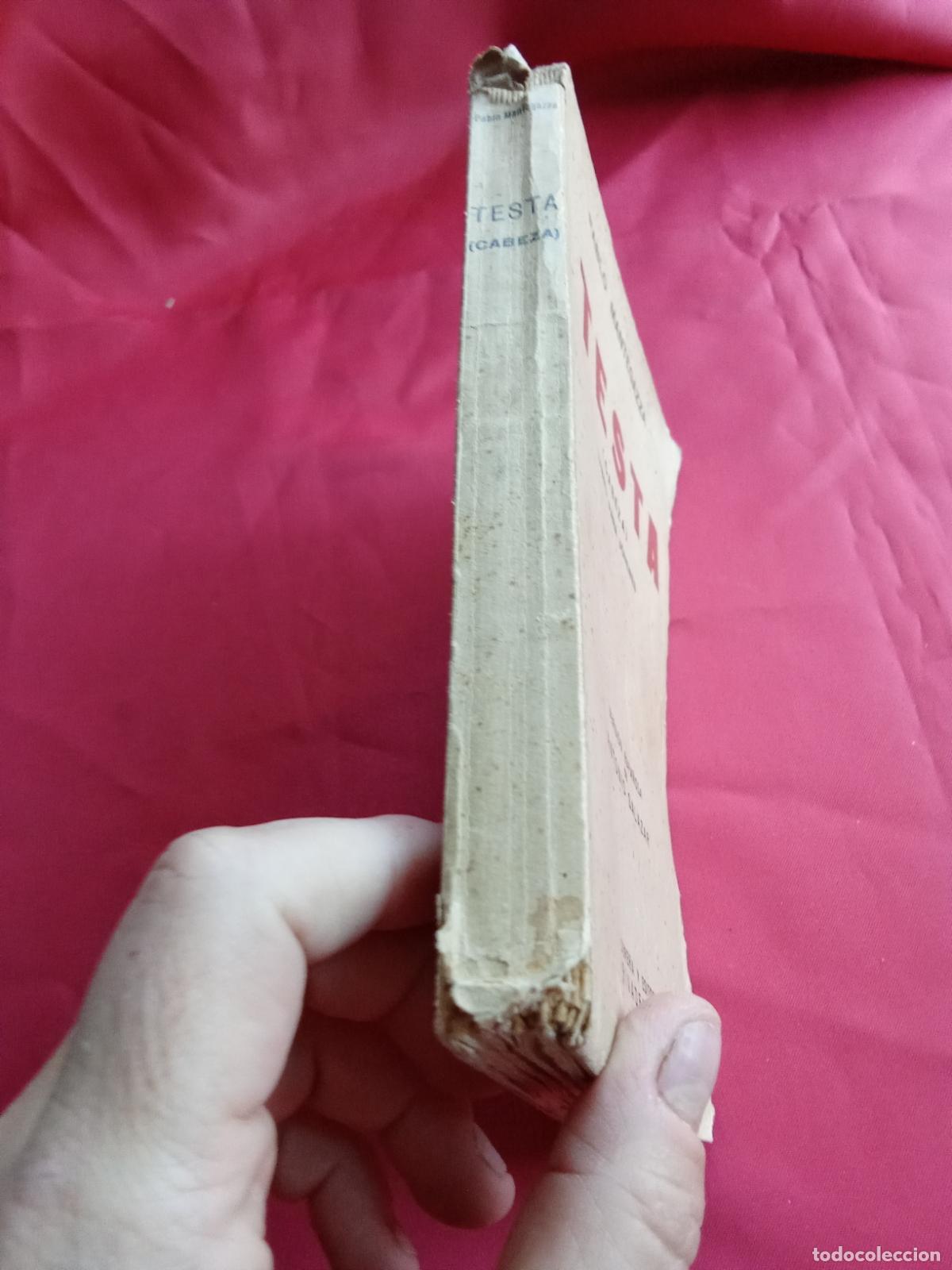 Libros: Testa (cabeza). Pablo Mantegazza L.3116-1352 - Foto 5