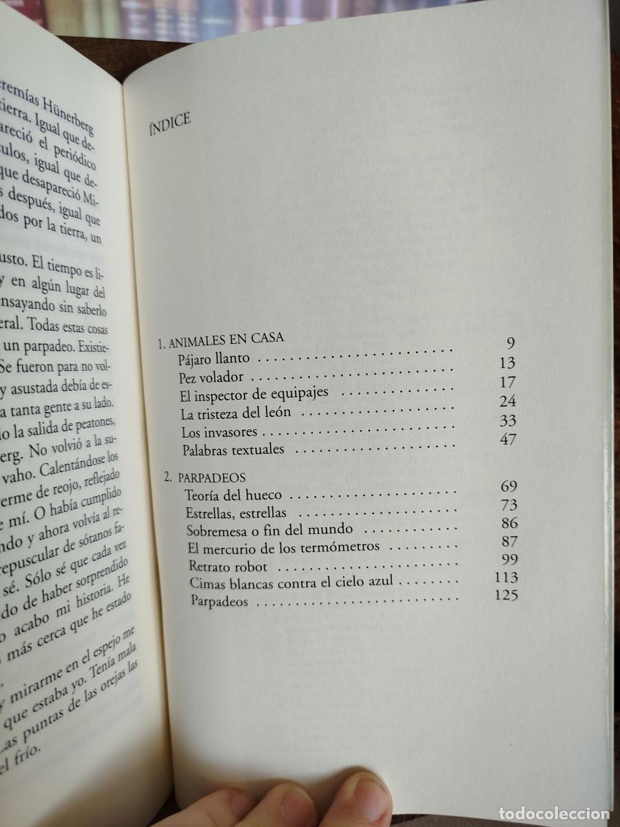 Libros: Parpadeos - Tiz&oacute;n, Eloy - Foto 6