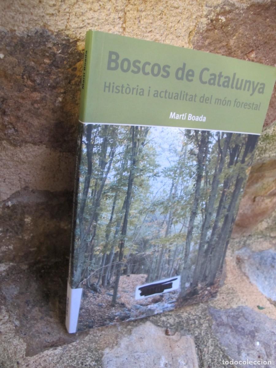 Libros: BOSCOS DE CATALUNYA. HISTORIA I ACTUALITAT DEL MON FORESTAL . MARTI BOADA - Foto 1