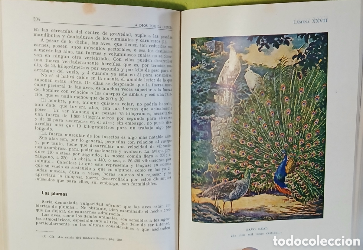 Libros: A dios por la ciencia - Foto 9