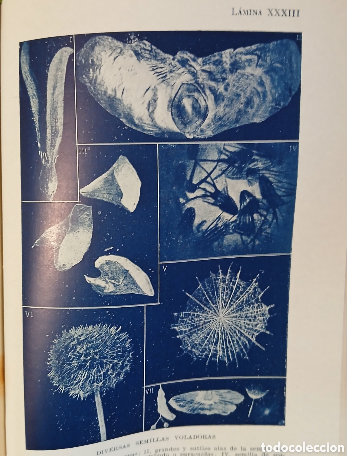 Libros: A dios por la ciencia - Foto 11
