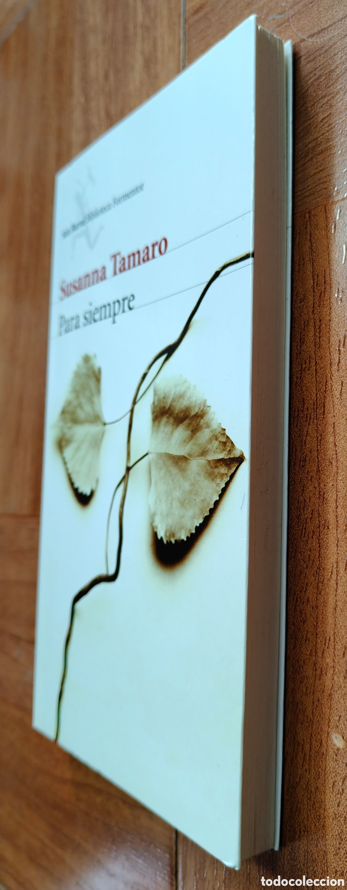 Libros: Para Siempre � Seix Barral - S&uacute;sanna Tamaro - Foto 2
