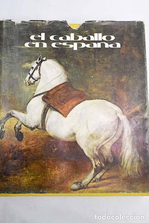 Libros: El caballo en Espa&ntilde;a - Foto 1