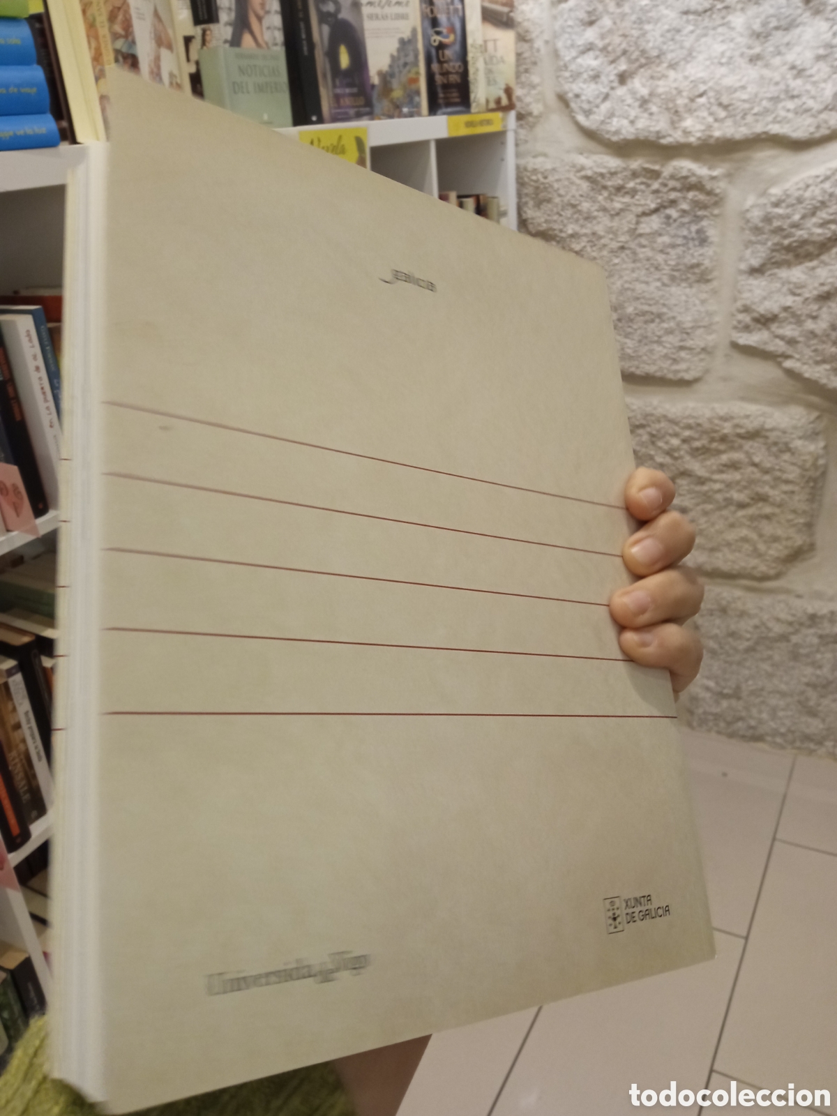 Libros: PERGAMI&Ntilde;O VINDEL. UN TESOURO EN SETE CANTIGAS - VV. AA. 2017 - Foto 2