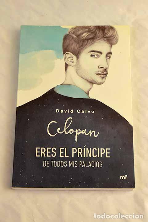 Libros: Eres el pr&iacute;ncipe de todos mis palacios.- Calvo, David - Foto 1