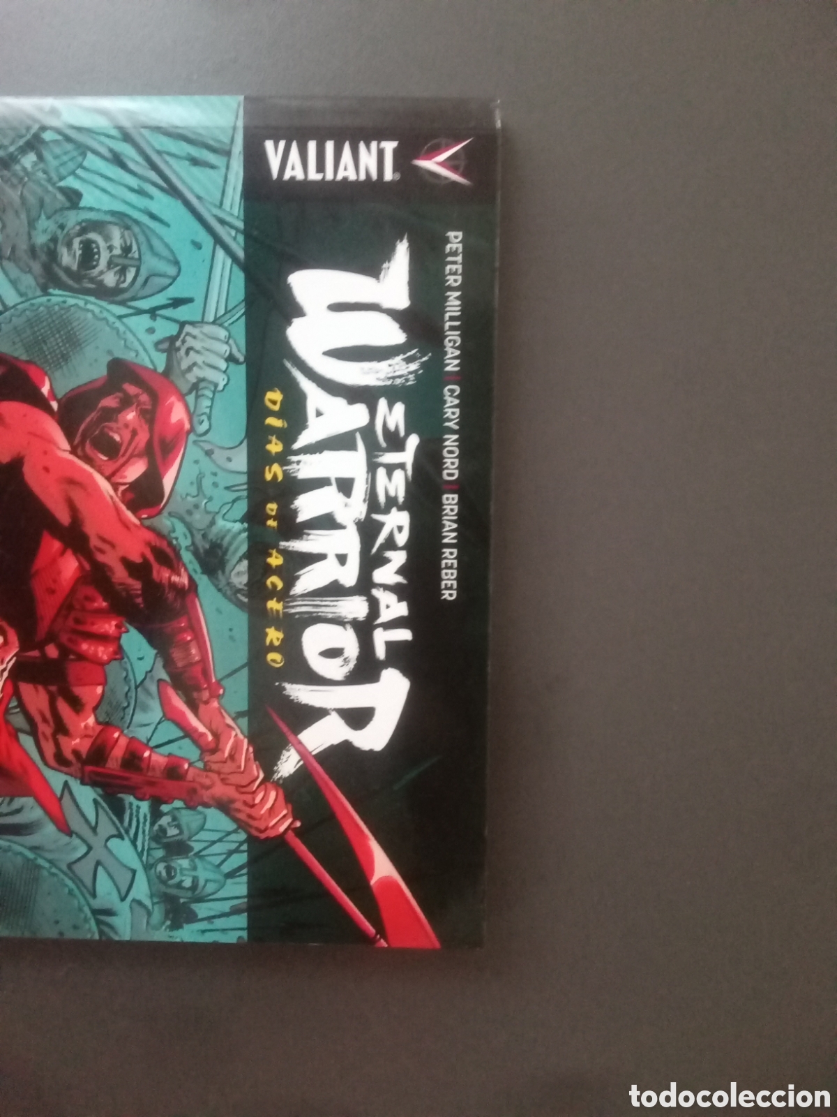 Libros: Eternal warrior. D&iacute;as de acero - Foto 4