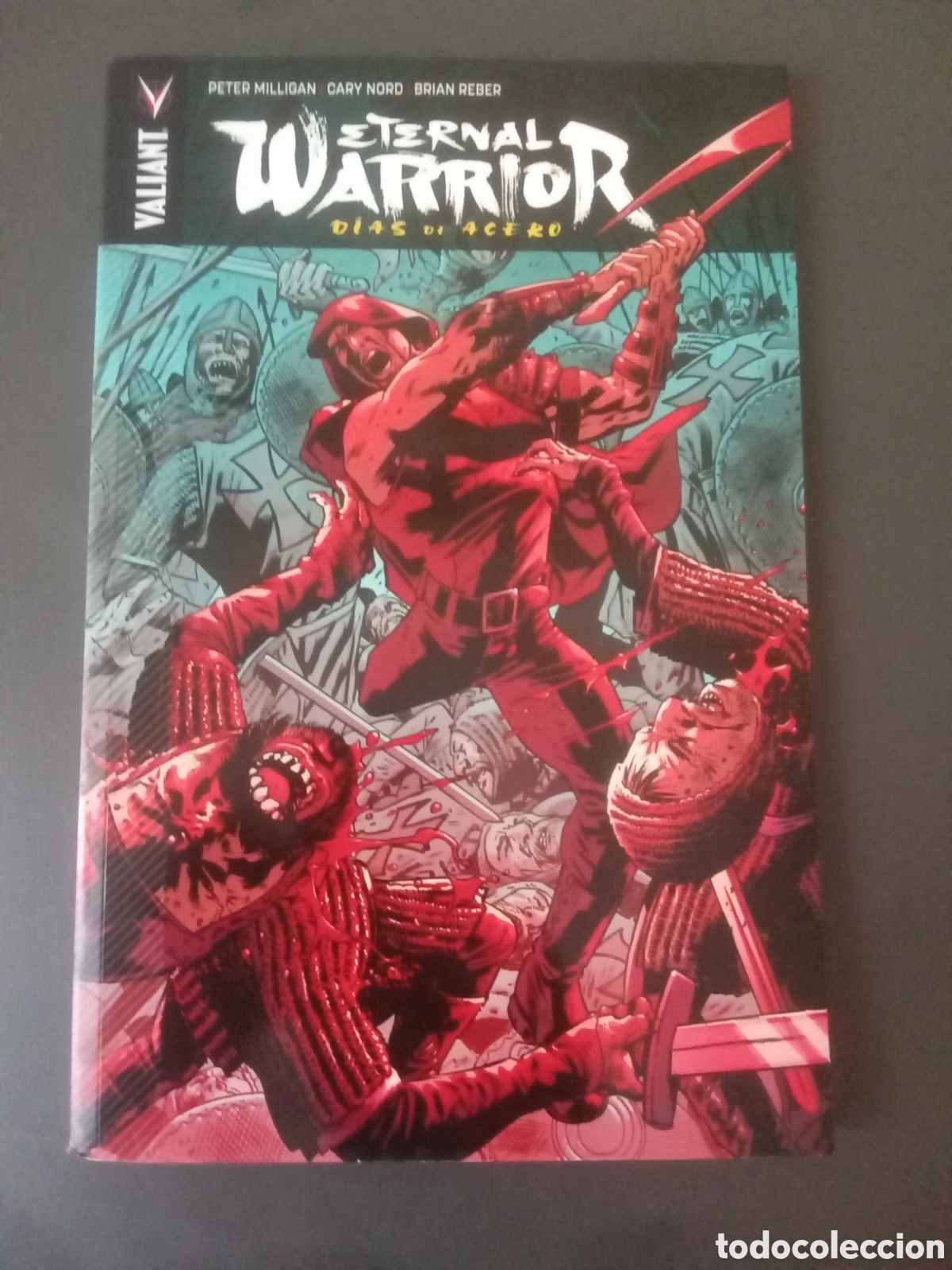 Libros: Eternal warrior. D&iacute;as de acero - Foto 1