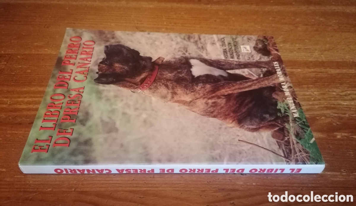 Libros: EL LIBRO DEL PERRO DE PRESA CANARIO - Manuel Mora Morales - Foto 2