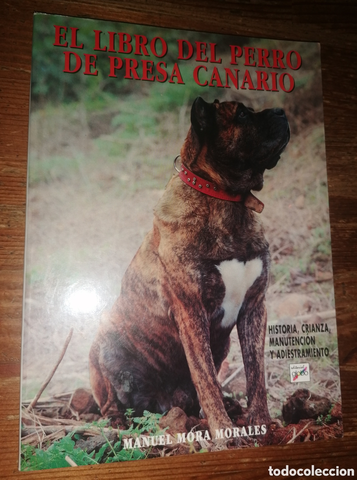 Libros: EL LIBRO DEL PERRO DE PRESA CANARIO - Manuel Mora Morales - Foto 1