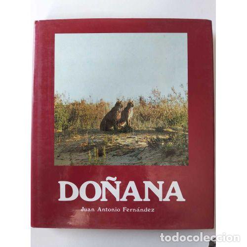 Libros: DO&Ntilde;ANA - FERN&Aacute;NDEZ, JOSE ANTONIO - Foto 1