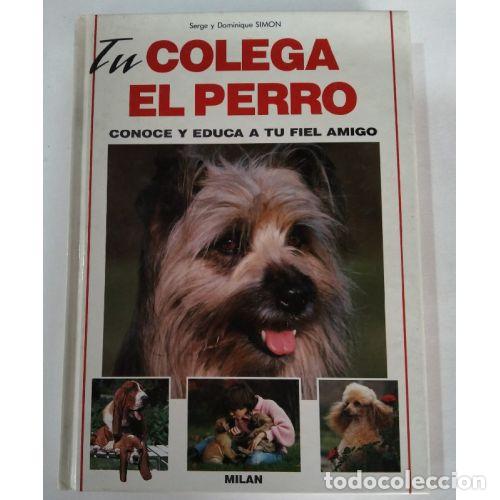 Libros: TU COLEGA EL PERRO - SIMON - Foto 1