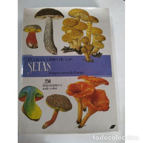 Libros: EL GRAN LIBRO DE LAS SETAS - AAVV - Foto 1