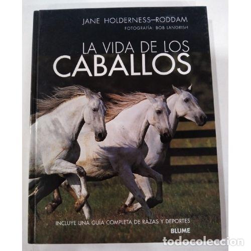 Libros: LA VIDA DE LOS CABALLOS - HOLDERNESS-RODDAM, JANE - Foto 1
