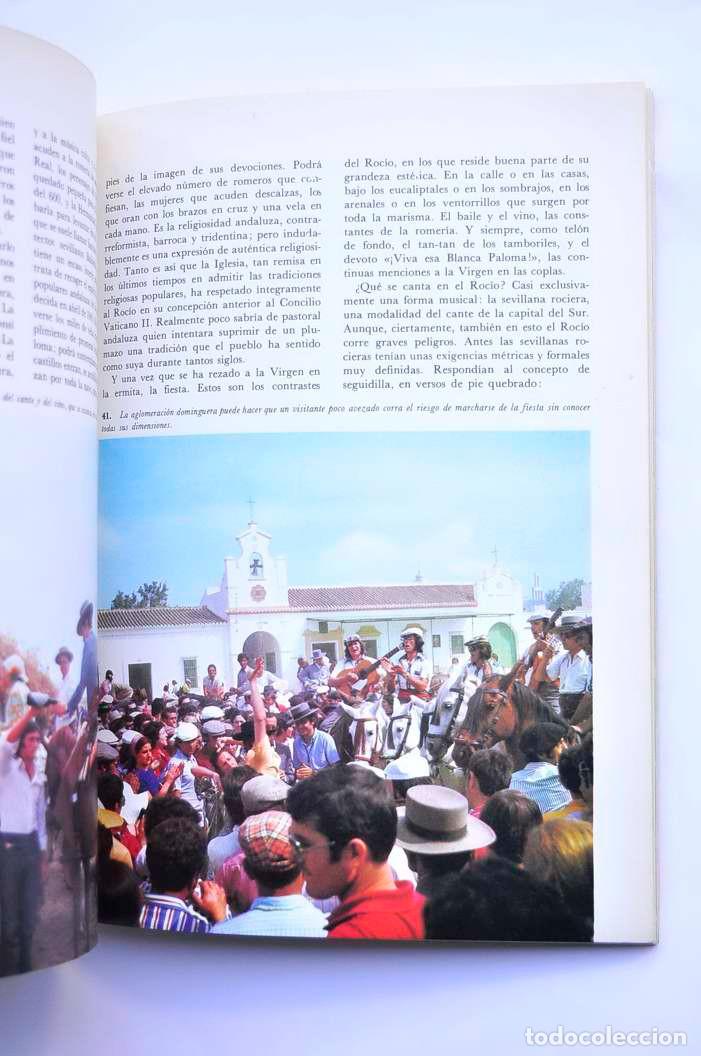 Libros: La Romer&iacute;a del Roc&iacute;o - BURGOS, Antonio - Foto 3