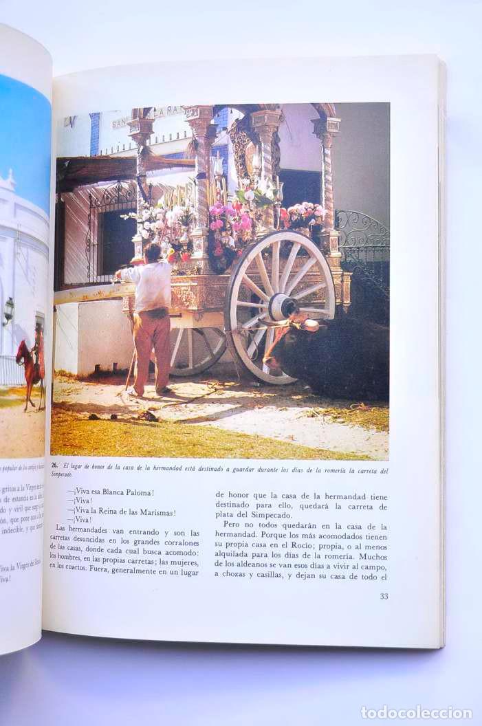 Libros: La Romer&iacute;a del Roc&iacute;o - BURGOS, Antonio - Foto 4