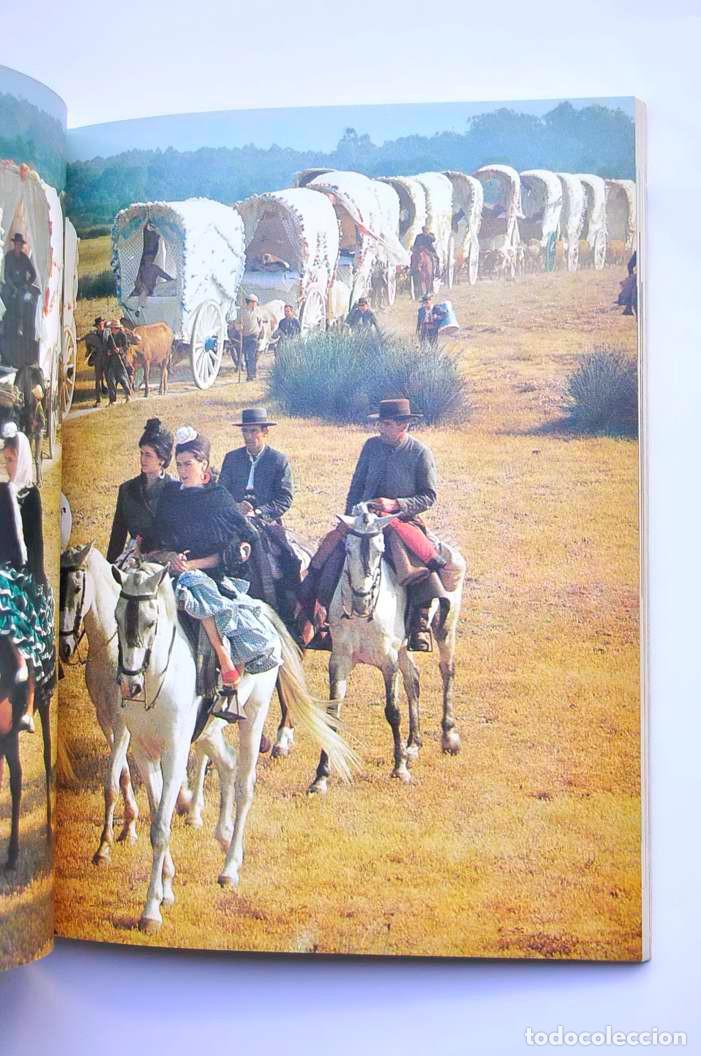 Libros: La Romer&iacute;a del Roc&iacute;o - BURGOS, Antonio - Foto 5