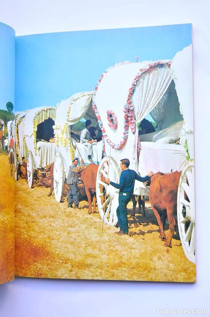Libros: La Romer&iacute;a del Roc&iacute;o - BURGOS, Antonio - Foto 6