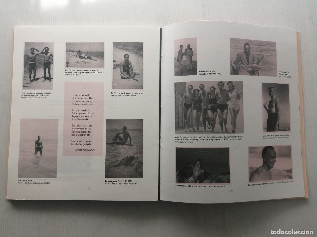 Libros: Luis Cernuda. M&aacute;laga, ciudad del deseo - Foto 6