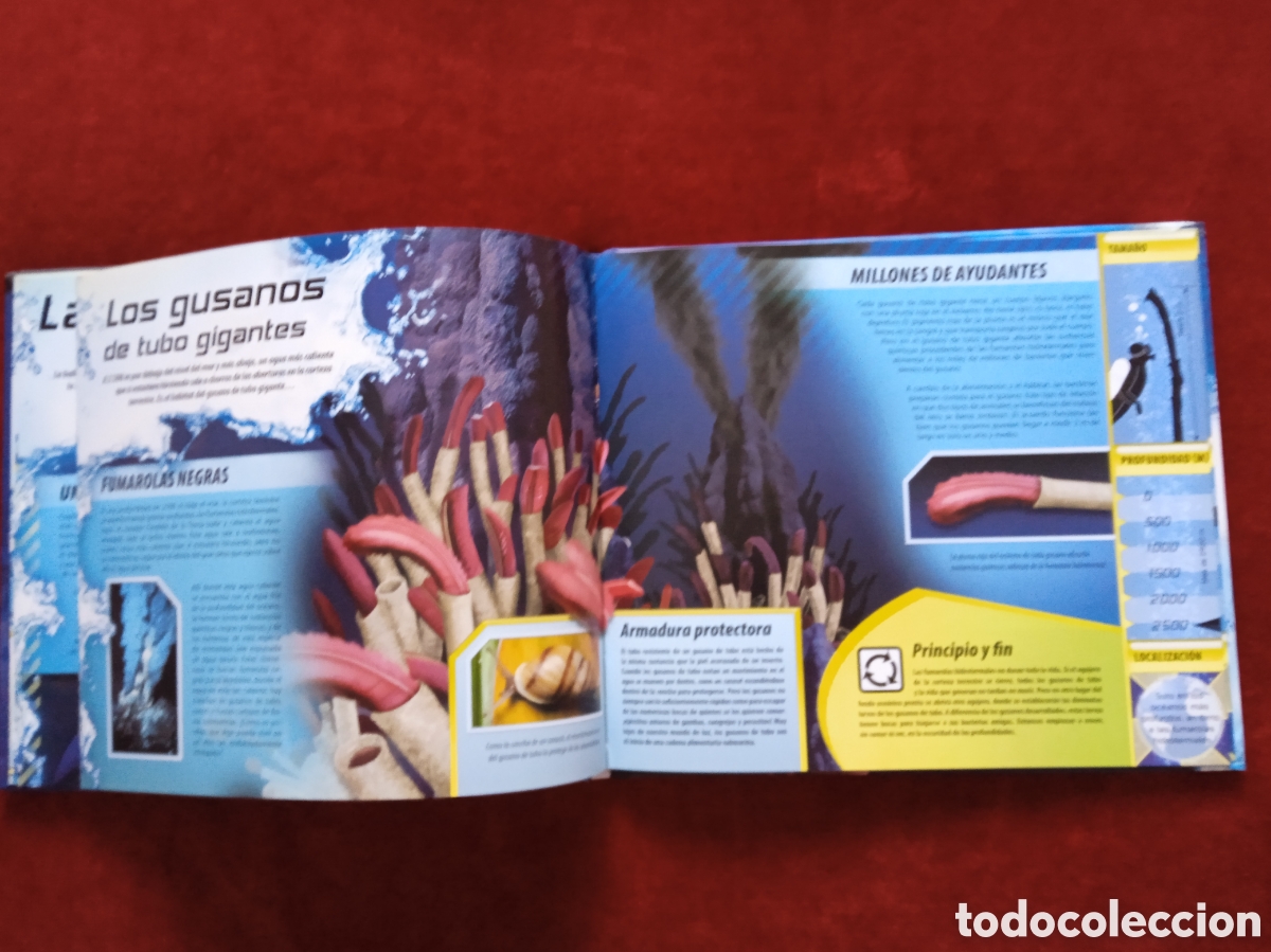 Libros: Monstruos Marinos . Un libro de despliegues virtuales En 3 D - Foto 6