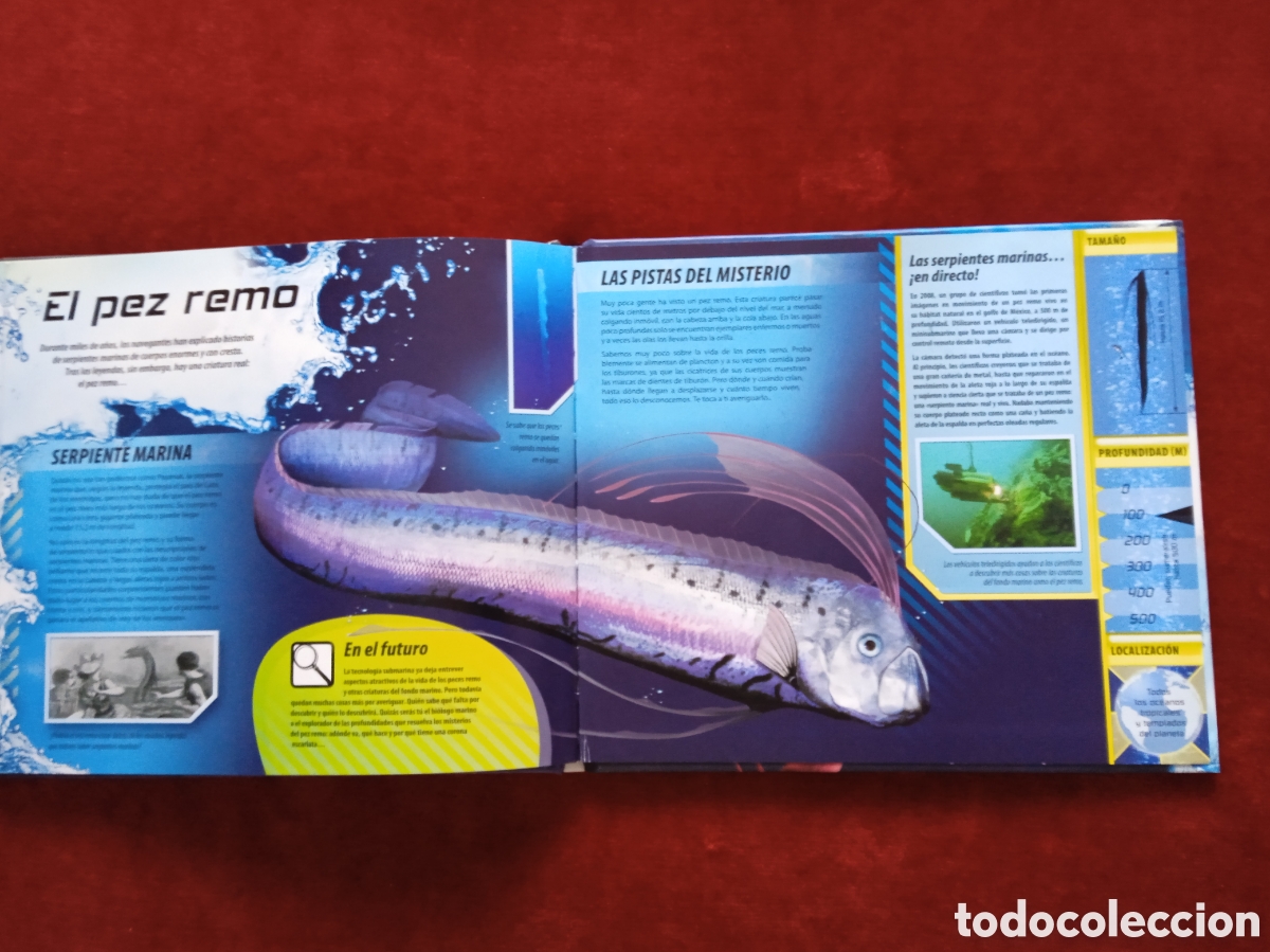 Libros: Monstruos Marinos . Un libro de despliegues virtuales En 3 D - Foto 7