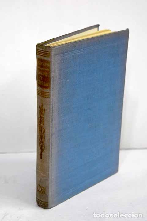 Libros: Roc&iacute;o y niebla: Wren, Percival Christopher.- Wren, Percival Christopher - Foto 1