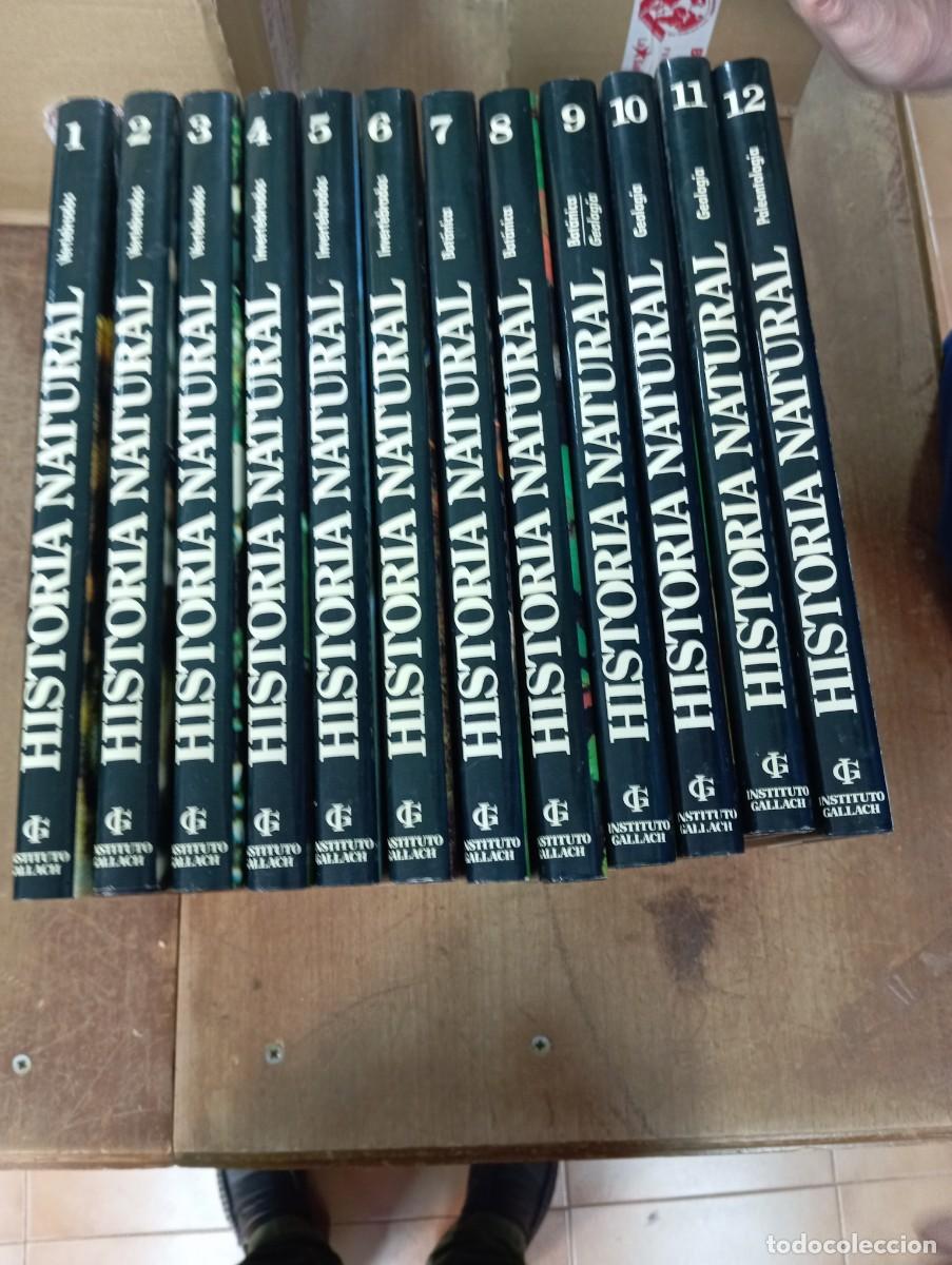 Libros: HISTORIA NATURAL GALLACH 12 TOMOS COMPLETA - Foto 2