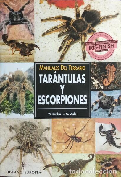 Libros: RANKIN. (Wayne) e Jerry G. Walls. - TAR&Aacute;NTULAS Y ESCORPIONES. - Foto 1