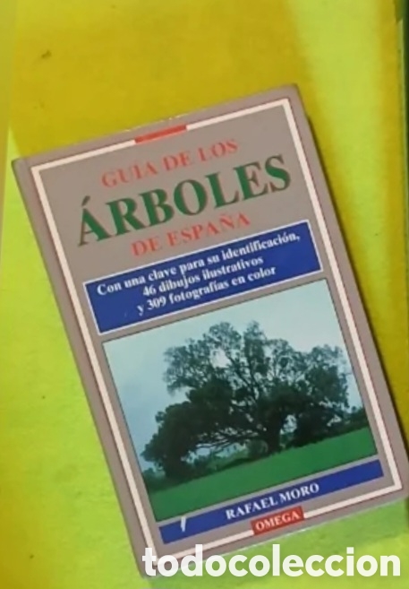 Libros: Guia de &aacute;rboles de Espa&ntilde;a - Foto 1