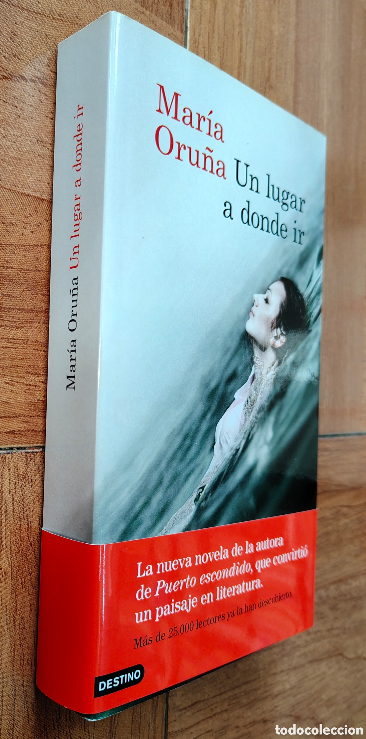 Libros: Un lugar a donde ir - Mar&iacute;a Oru&ntilde;a - Foto 1