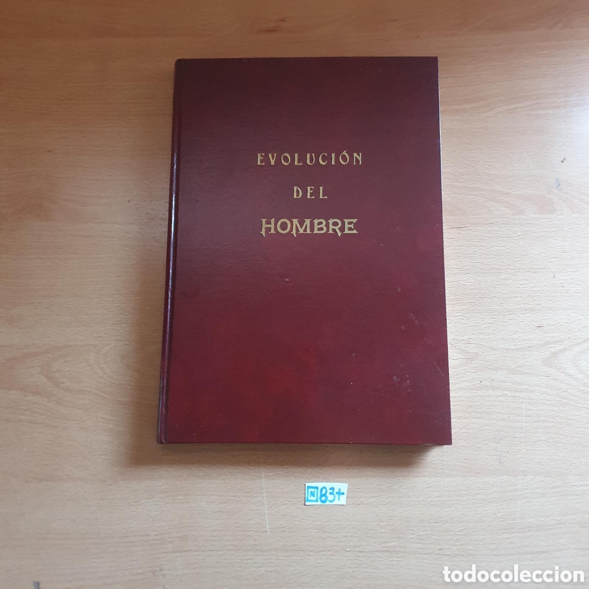 Libros: Libro de la evoluci&oacute;n del hombre - Foto 1