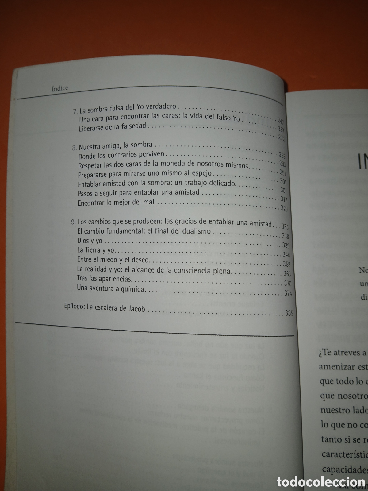 Libros: LA DANZA DE LA SOMBRA � PSICOLOGIA TRANSPERSONAL - DAVID RICHO - Foto 4
