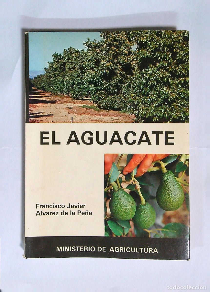 Libros: EL AGUACATE - FRANCISCO JAVIER ALVAREZ DE LA PE&Ntilde;A - 1981 - MADRID - Foto 1