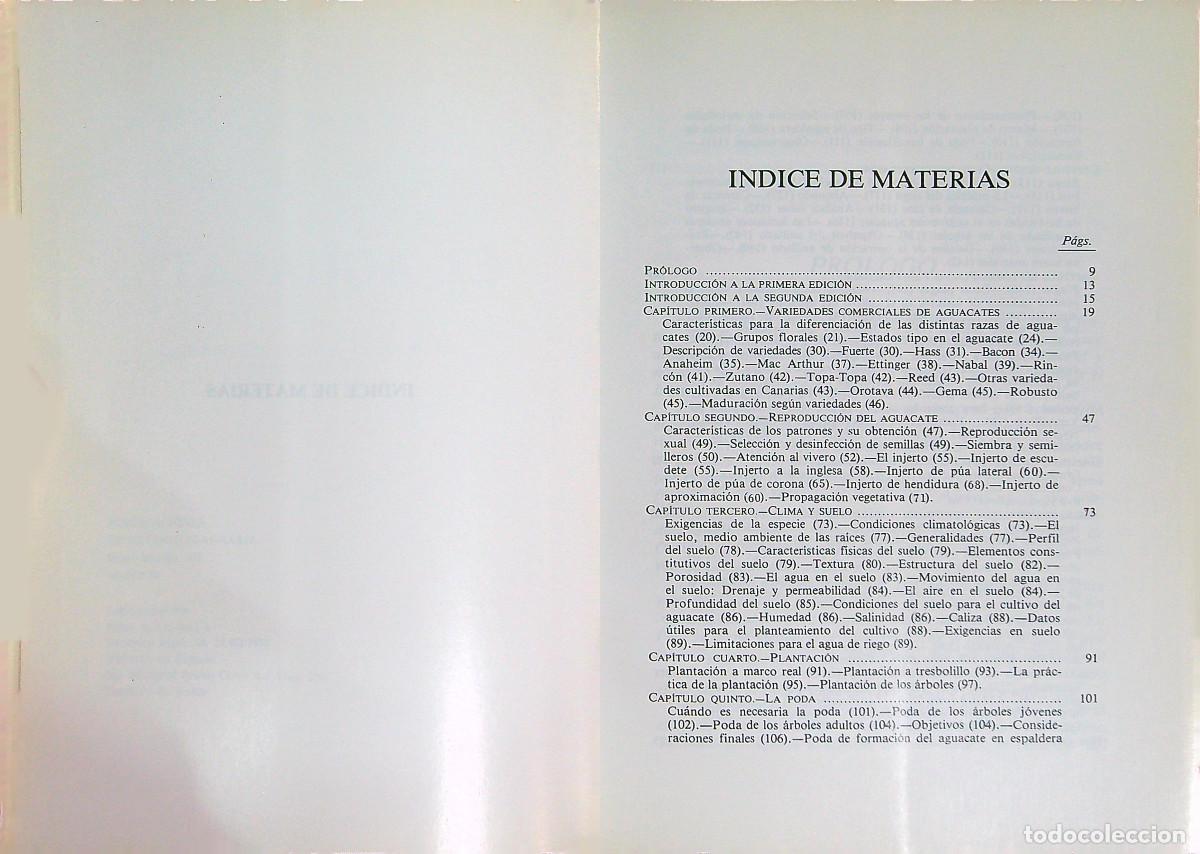 Libros: EL AGUACATE - FRANCISCO JAVIER ALVAREZ DE LA PE&Ntilde;A - 1981 - MADRID - Foto 2