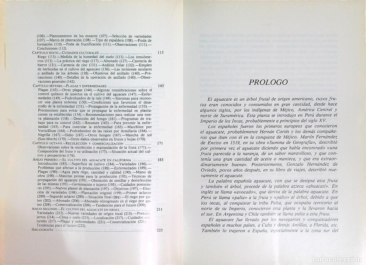 Libros: EL AGUACATE - FRANCISCO JAVIER ALVAREZ DE LA PE&Ntilde;A - 1981 - MADRID - Foto 3