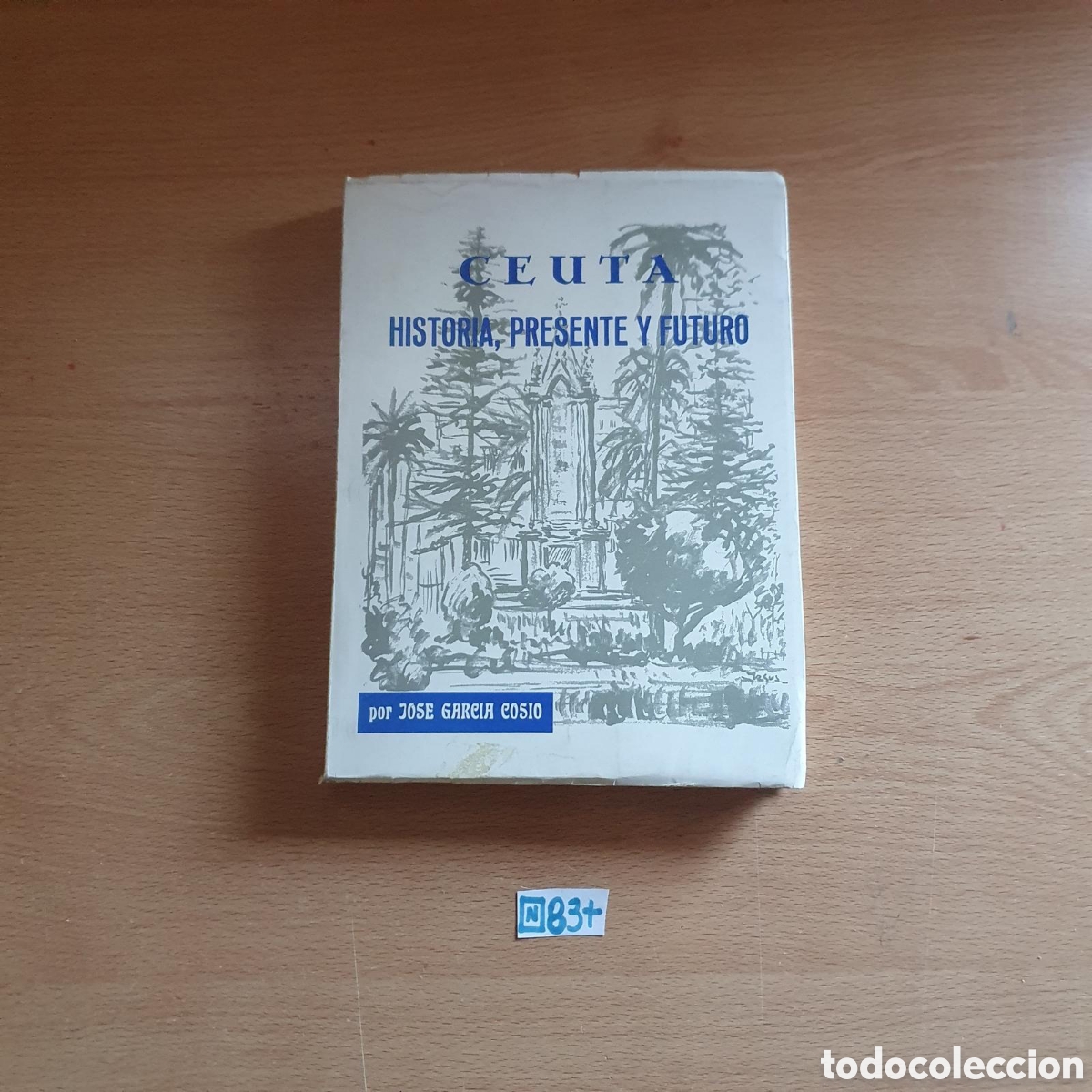 Libros: Ceuta historia, presente y futuro - Foto 1