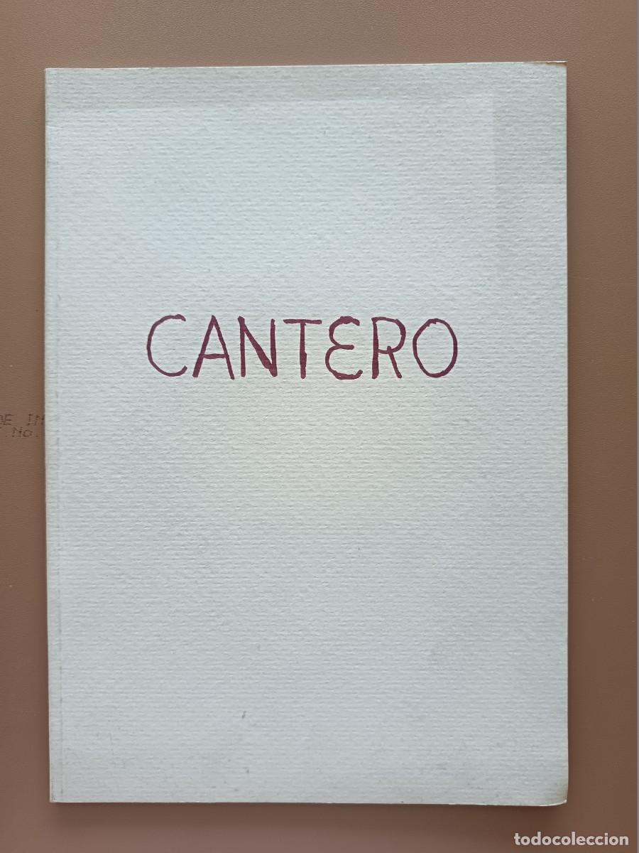 Libros: PINTURA: CANTERO-1998 - Foto 1