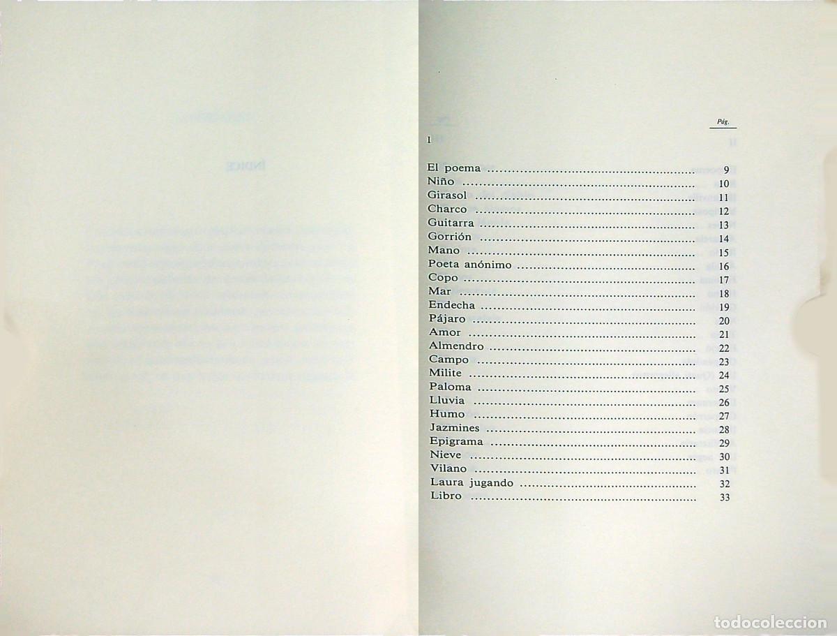 Libros: CUCHILLO CASI FLOR - LUIS FERIA - 1989 - VALENCIA - Foto 2
