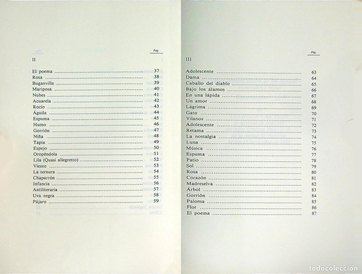 Libros: CUCHILLO CASI FLOR - LUIS FERIA - 1989 - VALENCIA - Foto 3
