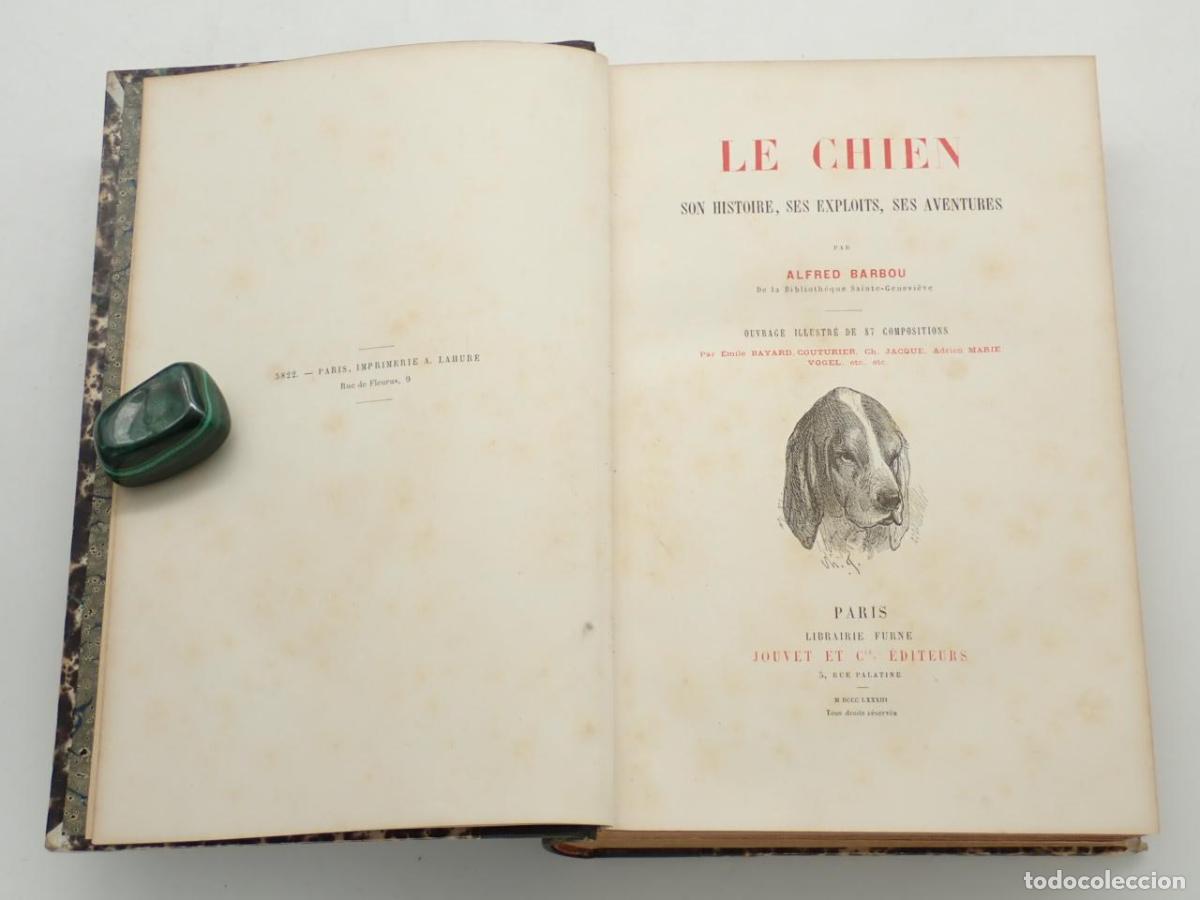 Libri di seconda mano: Le chien. Son histoire, ses exploits, ses aventures. Ouvrage illustr&eacute; de 87 compositions par Emile B