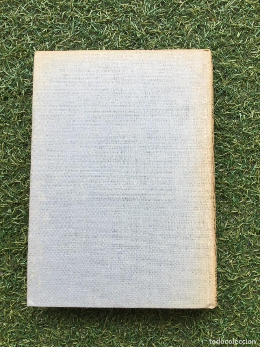 Libros: La vieja Ley Carmen Kurz - Foto 2
