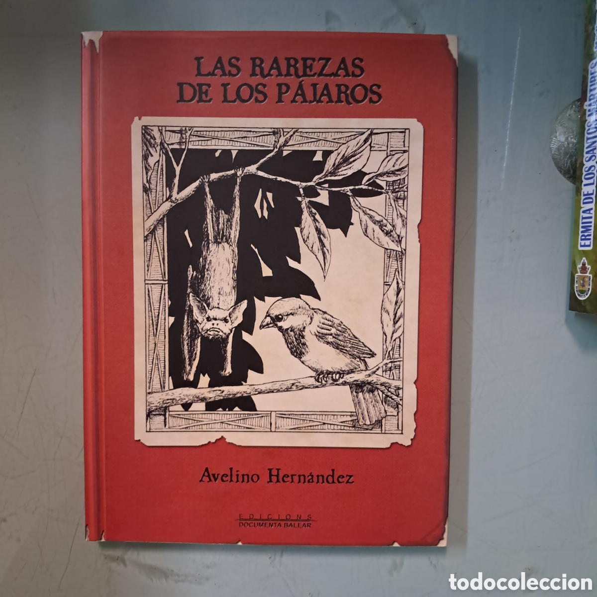 Libros: Avelino Hern&aacute;ndez Las rarezas de los p&aacute;jaros - Foto 1
